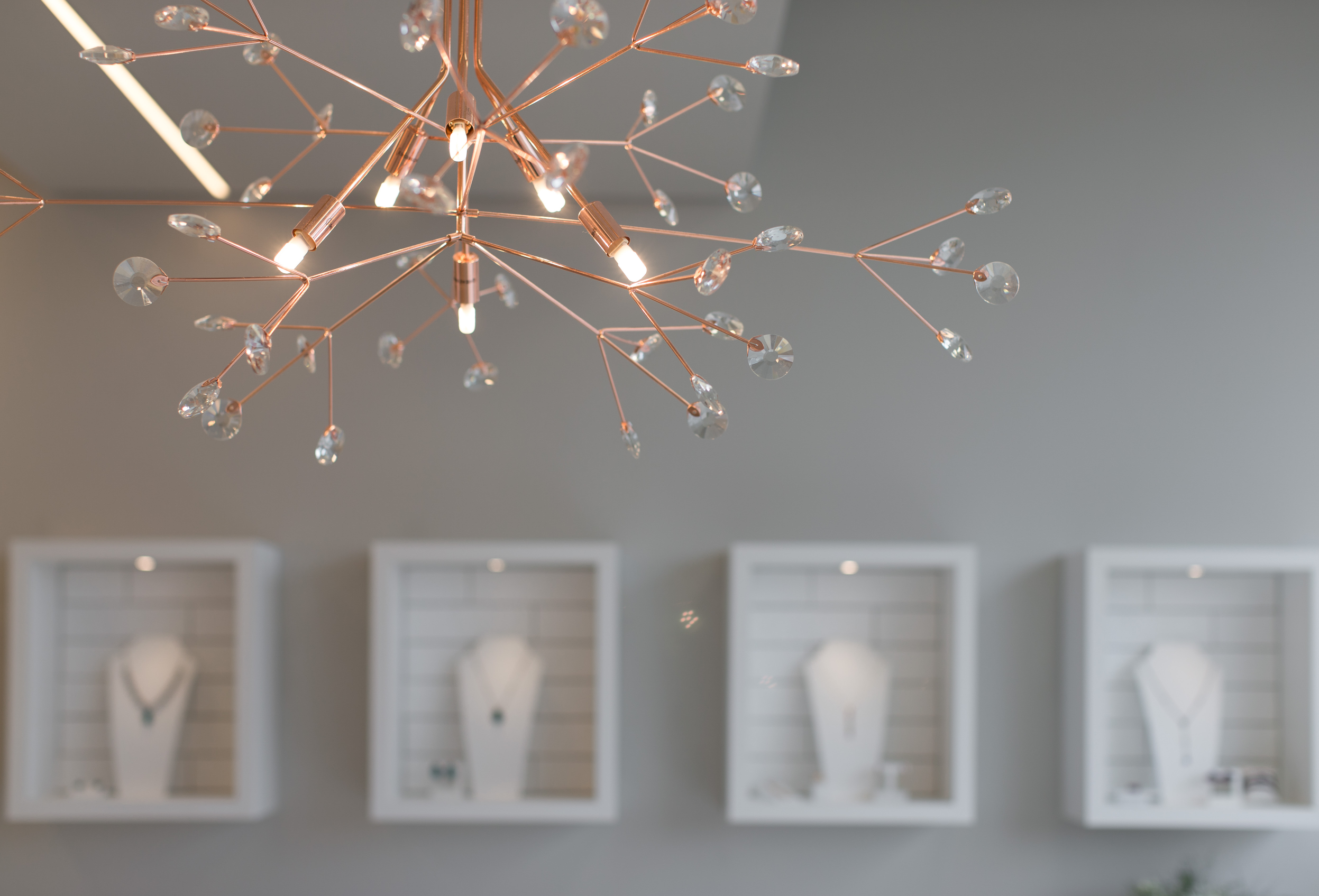 Showroom Bendita